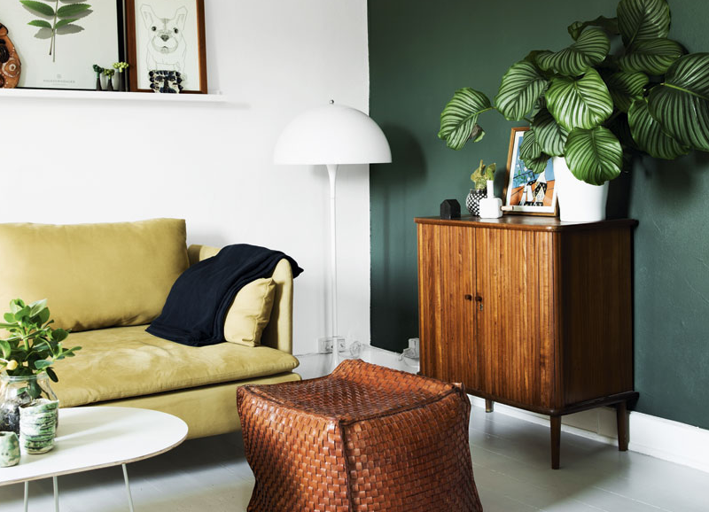 Color Crush: Olivgrün - Alles was du brauchst um dein Haus in ein ... Color Crush: Olivgrün - Alles was du brauchst um dein Haus in ein ...